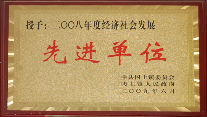 2008年(nián)度經濟社會發展(zhǎn)先進單位